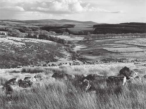 view south from Broadun Ring on Dartmoor
